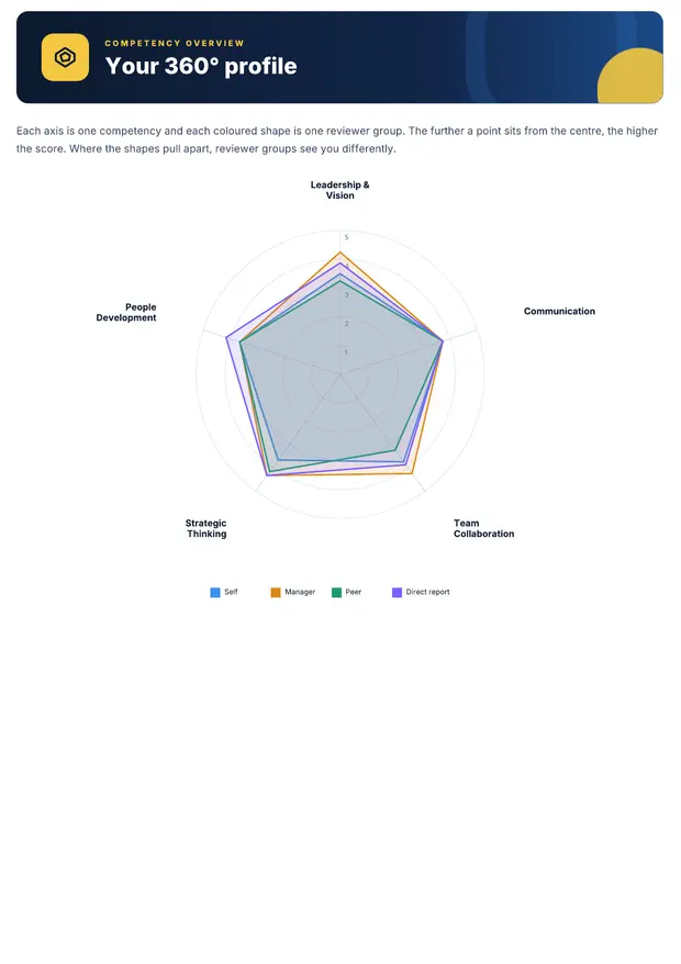 Report page with the 360° spider chart by reviewer group